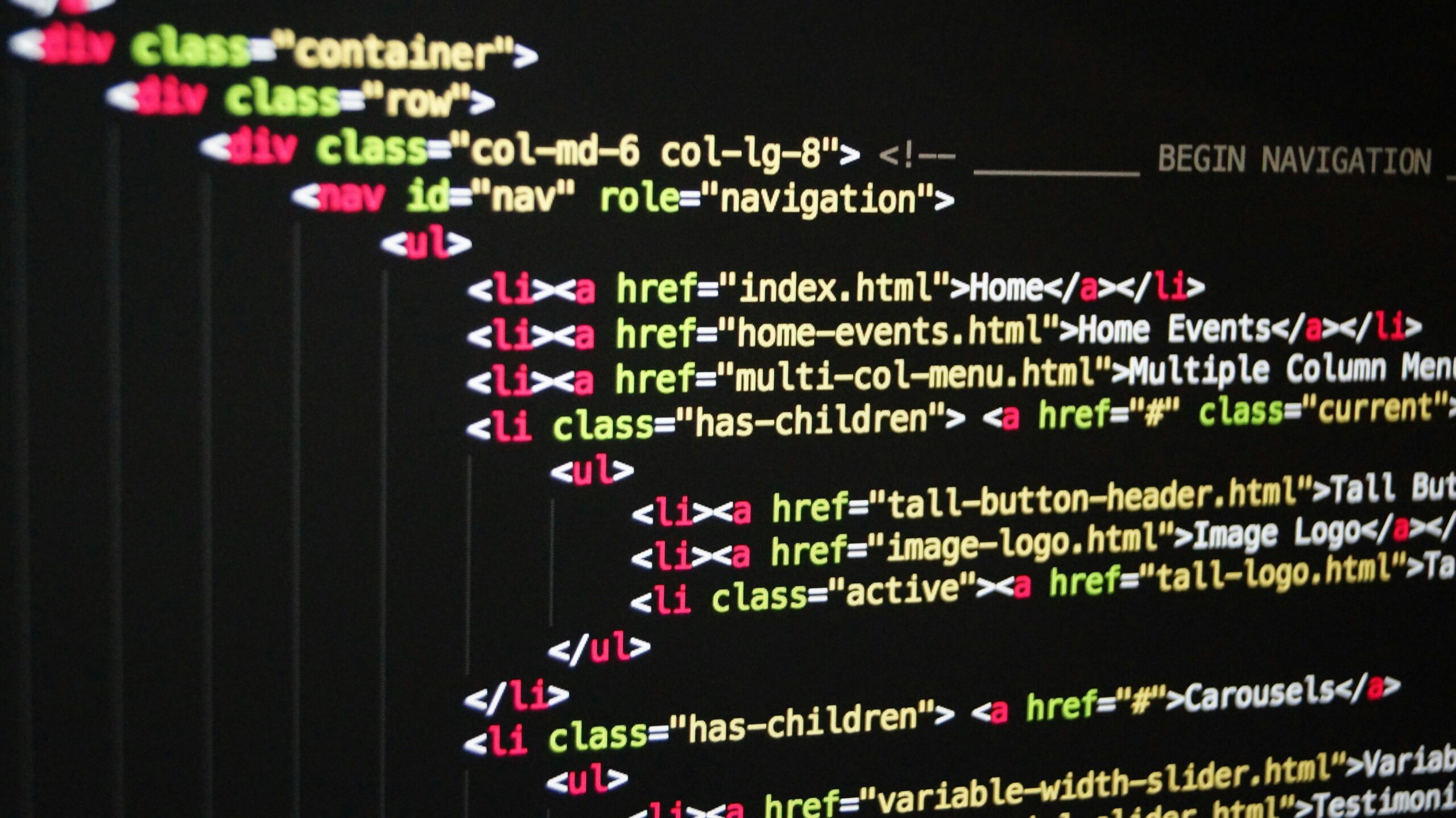 Top 5 Programming Languages to Learn in 2024